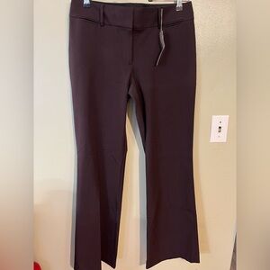 Ann Taylor Loft Dip Wine Purple Julie Boot Cut Trousers Pants Office 6 NWT